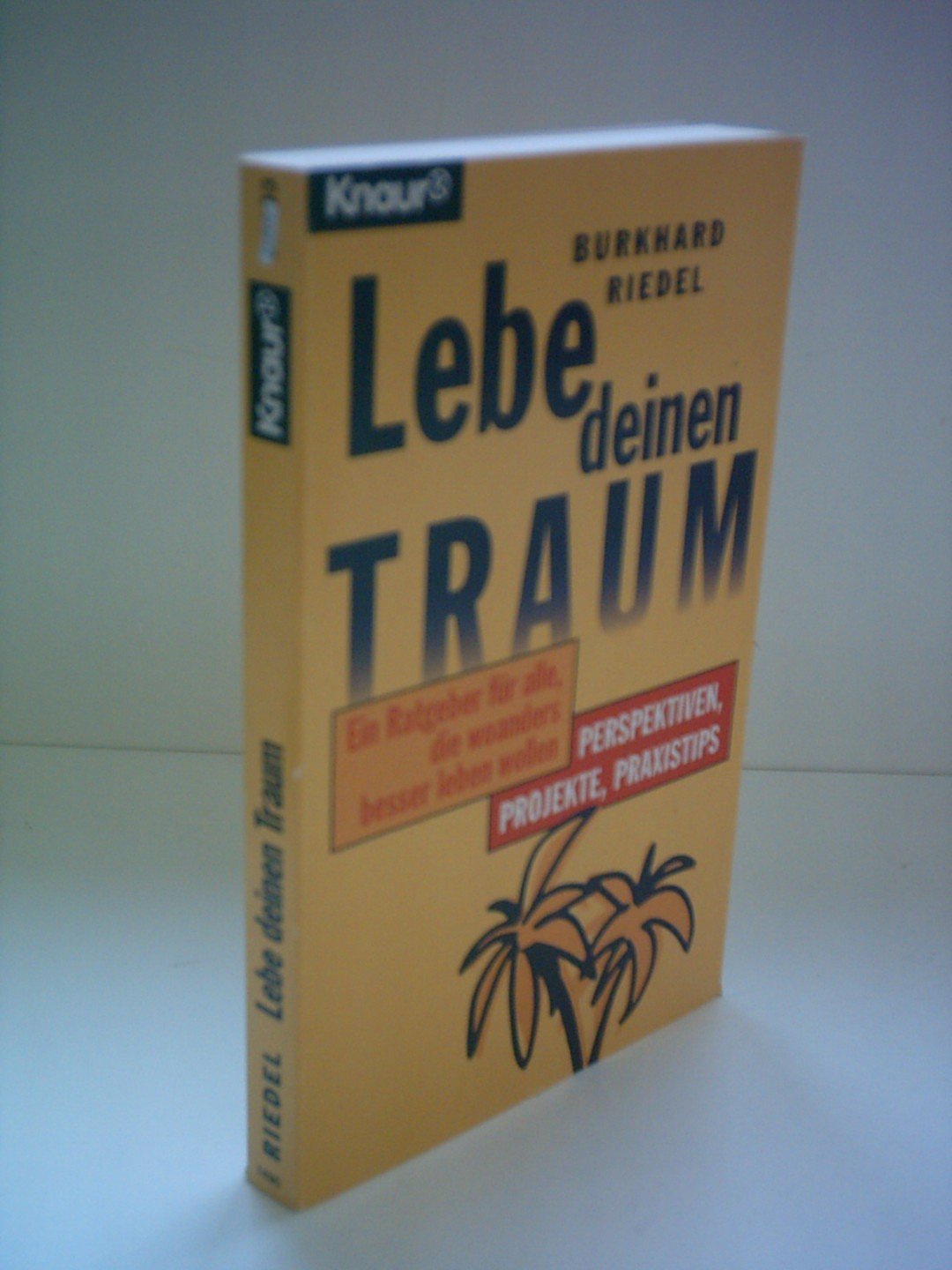 Lebe deinen Traum: Ein Ratgeber für alle, die woanders besser leben ...